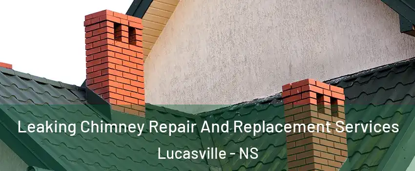  Leaking Chimney Repair And Replacement Services Lucasville - NS