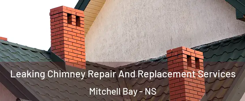  Leaking Chimney Repair And Replacement Services Mitchell Bay - NS