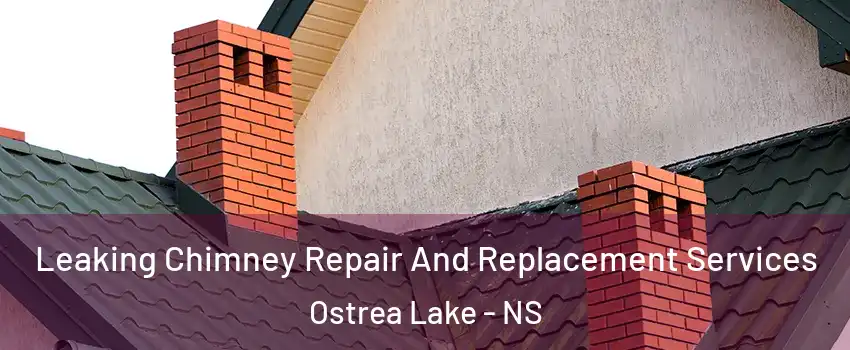  Leaking Chimney Repair And Replacement Services Ostrea Lake - NS