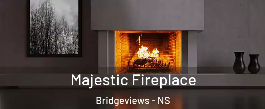  Majestic Fireplace Bridgeviews - NS