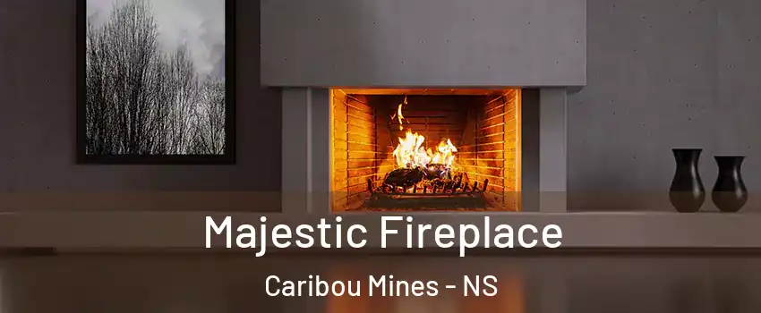  Majestic Fireplace Caribou Mines - NS