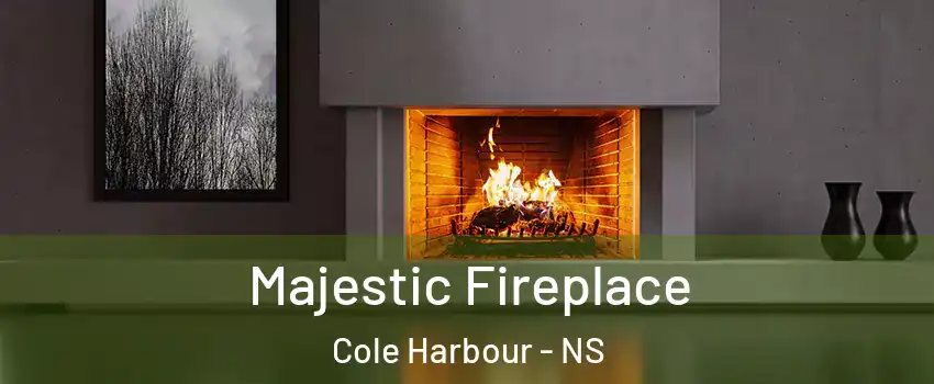  Majestic Fireplace Cole Harbour - NS