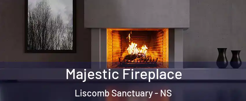  Majestic Fireplace Liscomb Sanctuary - NS