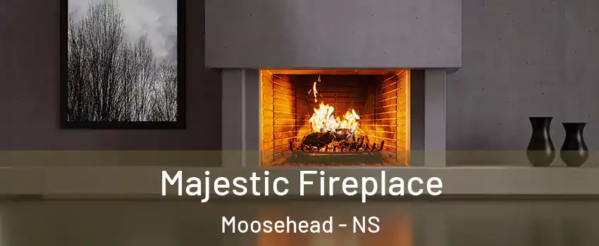  Majestic Fireplace Moosehead - NS