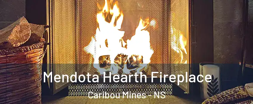 Mendota Hearth Fireplace Caribou Mines - NS