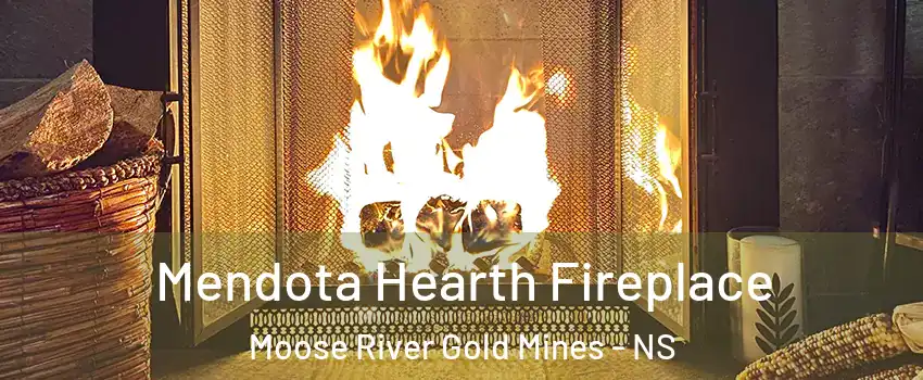  Mendota Hearth Fireplace Moose River Gold Mines - NS