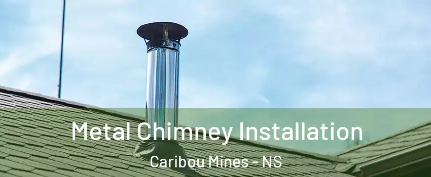  Metal Chimney Installation Caribou Mines - NS