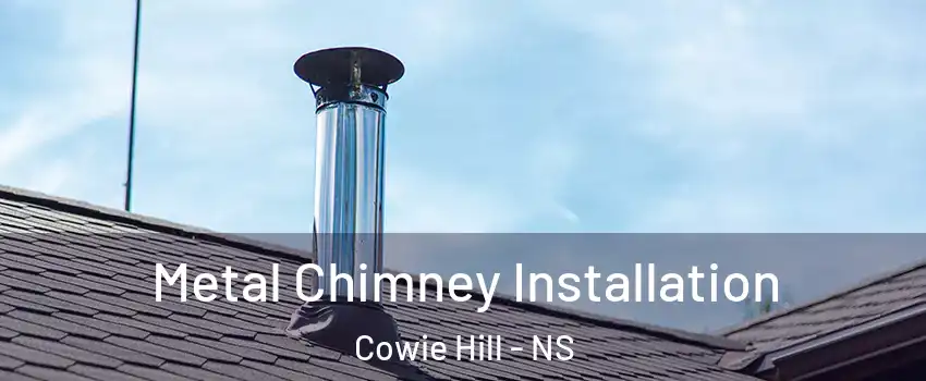  Metal Chimney Installation Cowie Hill - NS
