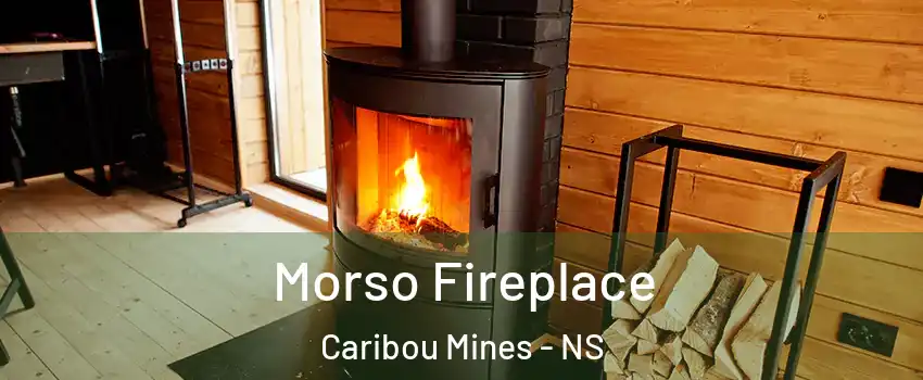  Morso Fireplace Caribou Mines - NS