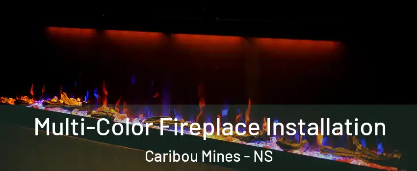  Multi-Color Fireplace Installation Caribou Mines - NS