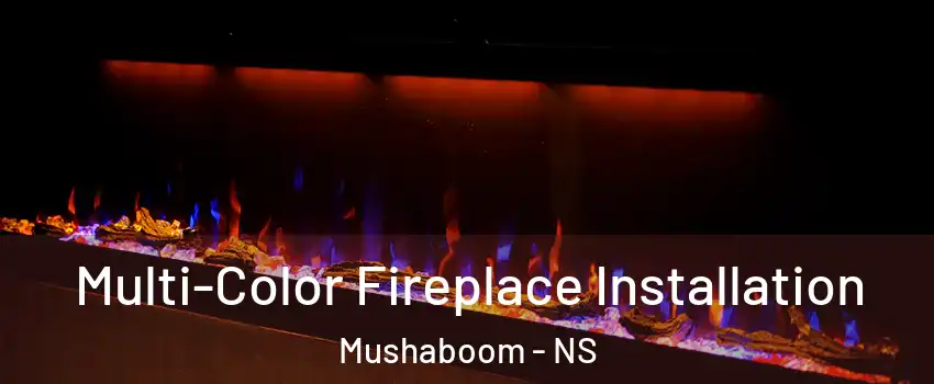  Multi-Color Fireplace Installation Mushaboom - NS