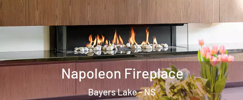  Napoleon Fireplace Bayers Lake - NS