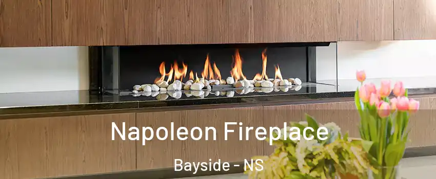  Napoleon Fireplace Bayside - NS
