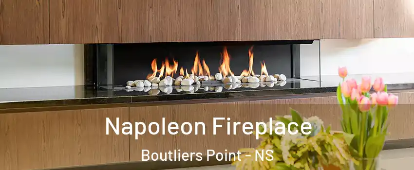  Napoleon Fireplace Boutliers Point - NS
