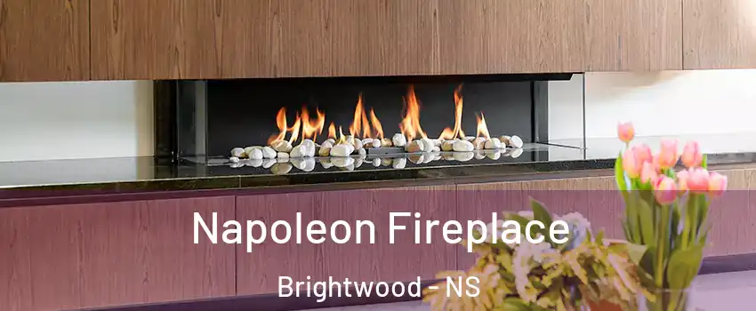  Napoleon Fireplace Brightwood - NS
