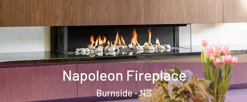  Napoleon Fireplace Burnside - NS