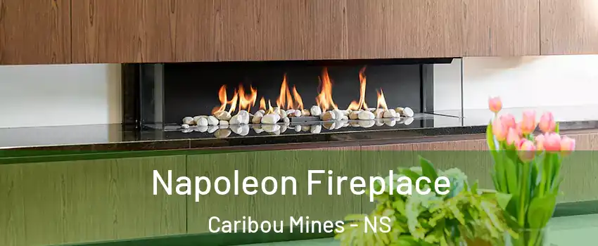  Napoleon Fireplace Caribou Mines - NS