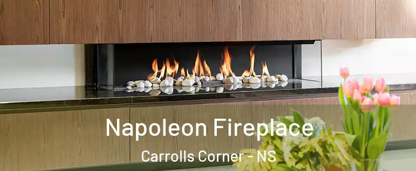  Napoleon Fireplace Carrolls Corner - NS