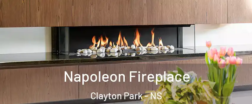  Napoleon Fireplace Clayton Park - NS