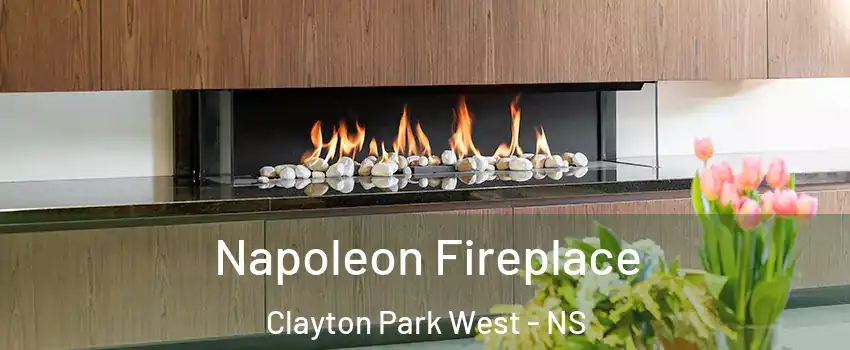  Napoleon Fireplace Clayton Park West - NS