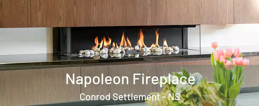  Napoleon Fireplace Conrod Settlement - NS