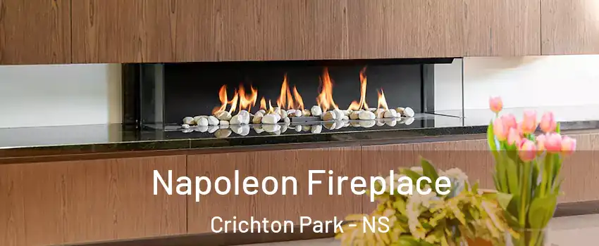  Napoleon Fireplace Crichton Park - NS