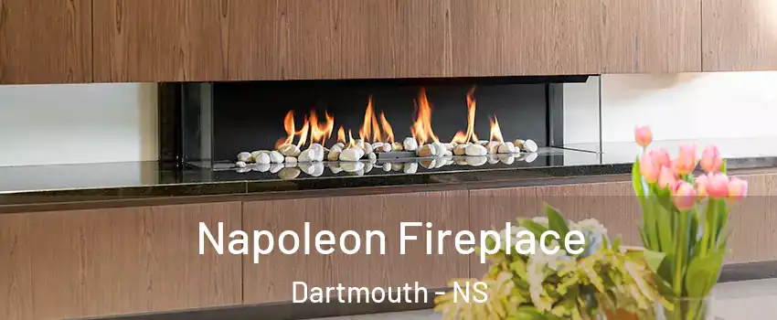  Napoleon Fireplace Dartmouth - NS