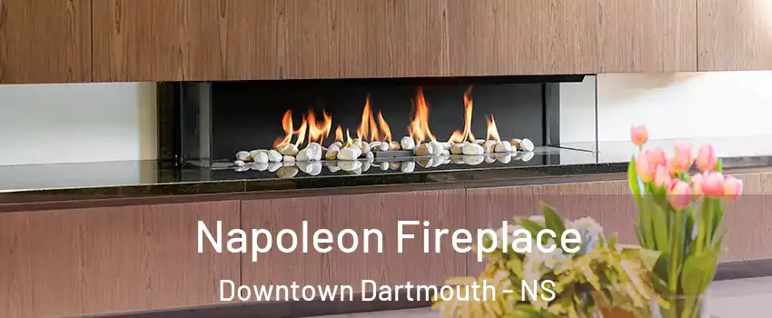  Napoleon Fireplace Downtown Dartmouth - NS