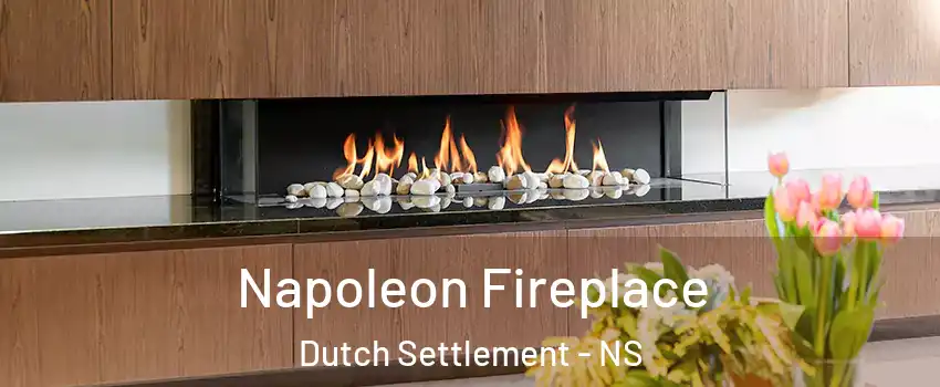  Napoleon Fireplace Dutch Settlement - NS