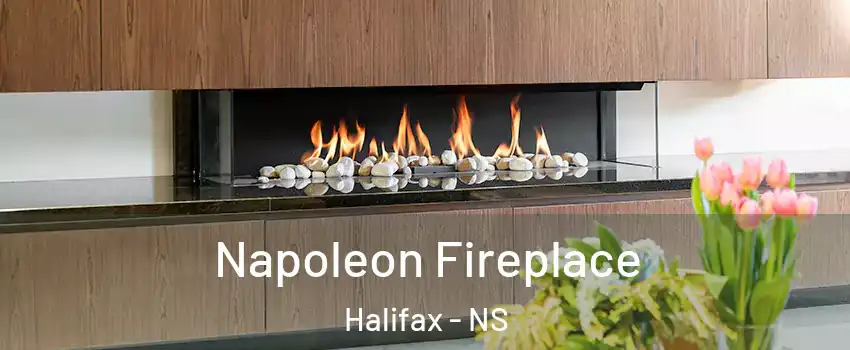  Napoleon Fireplace Halifax - NS