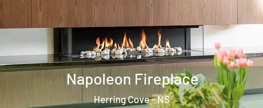  Napoleon Fireplace Herring Cove - NS