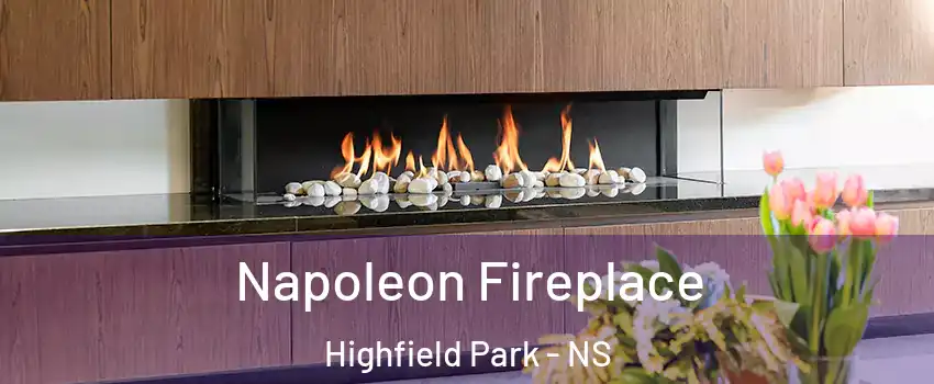  Napoleon Fireplace Highfield Park - NS