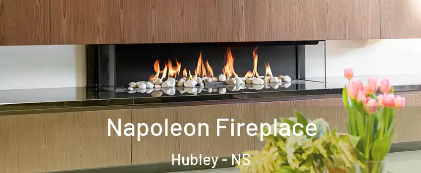  Napoleon Fireplace Hubley - NS