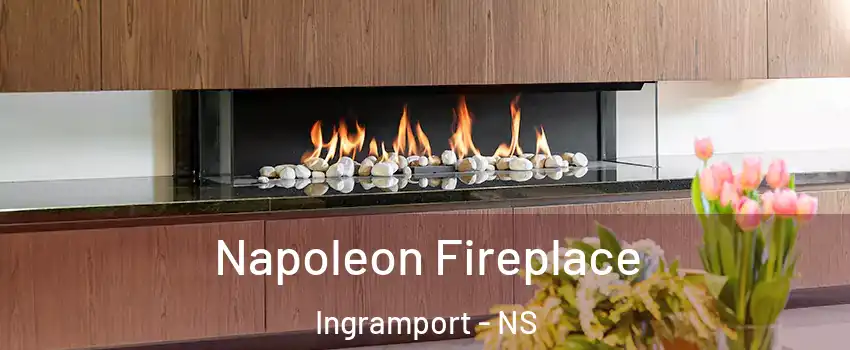  Napoleon Fireplace Ingramport - NS