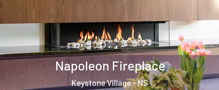  Napoleon Fireplace Keystone Village - NS