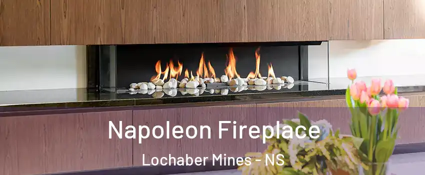  Napoleon Fireplace Lochaber Mines - NS