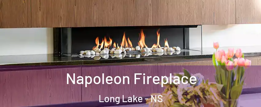  Napoleon Fireplace Long Lake - NS