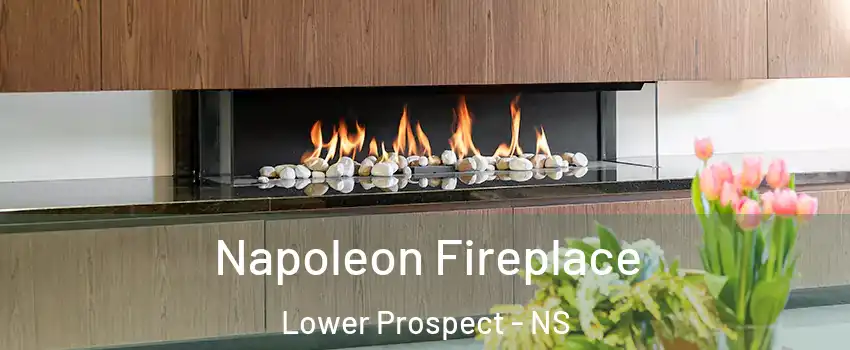  Napoleon Fireplace Lower Prospect - NS