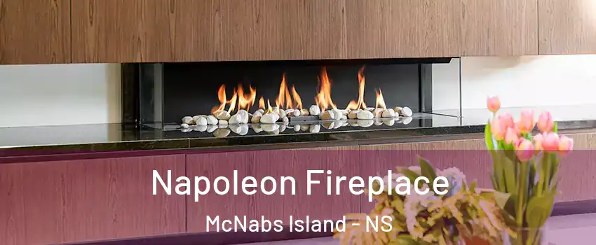  Napoleon Fireplace McNabs Island - NS
