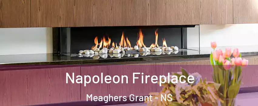  Napoleon Fireplace Meaghers Grant - NS