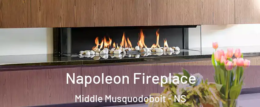  Napoleon Fireplace Middle Musquodoboit - NS