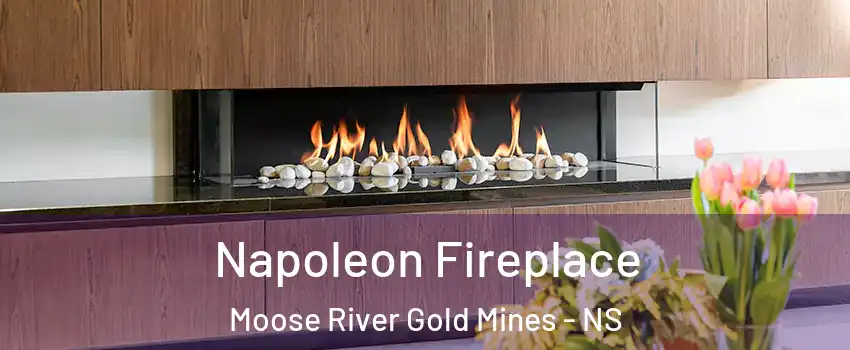  Napoleon Fireplace Moose River Gold Mines - NS