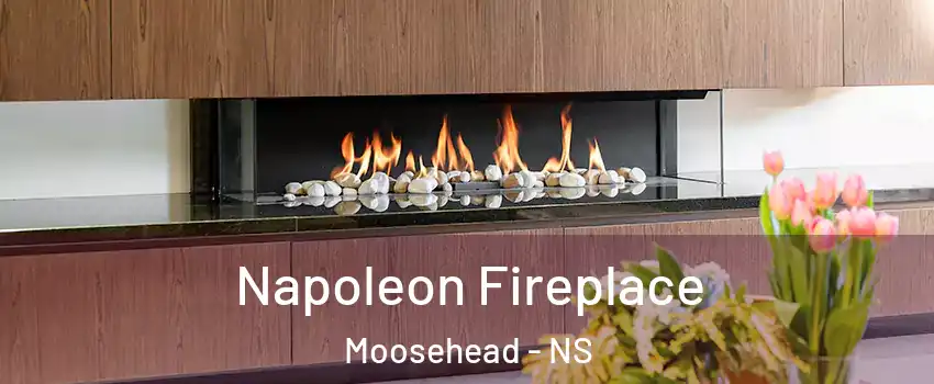  Napoleon Fireplace Moosehead - NS