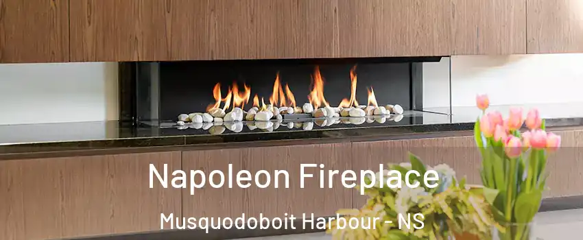  Napoleon Fireplace Musquodoboit Harbour - NS