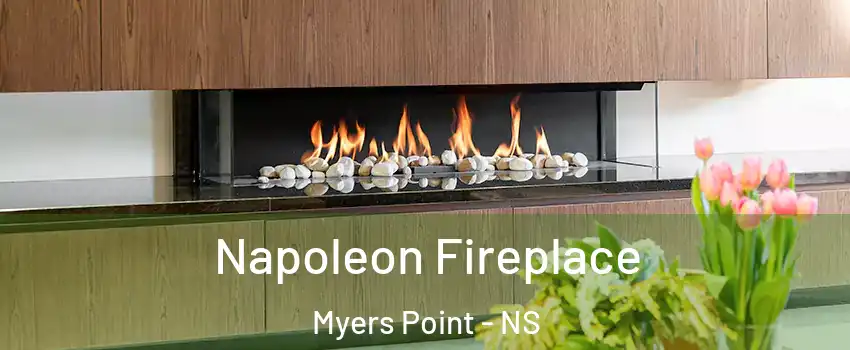  Napoleon Fireplace Myers Point - NS