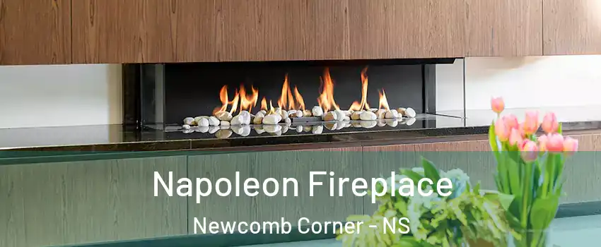 Napoleon Fireplace Newcomb Corner - NS