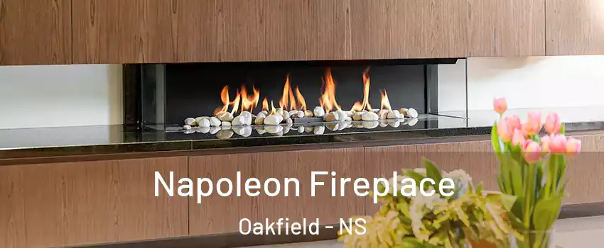  Napoleon Fireplace Oakfield - NS