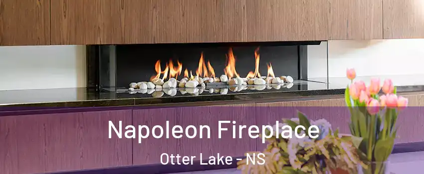  Napoleon Fireplace Otter Lake - NS