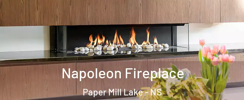  Napoleon Fireplace Paper Mill Lake - NS