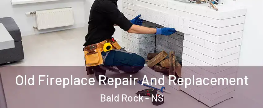  Old Fireplace Repair And Replacement Bald Rock - NS